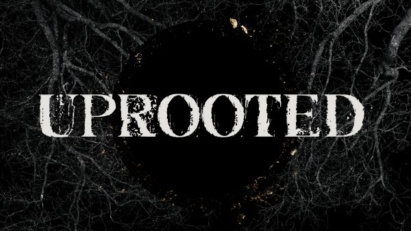 Uprooted